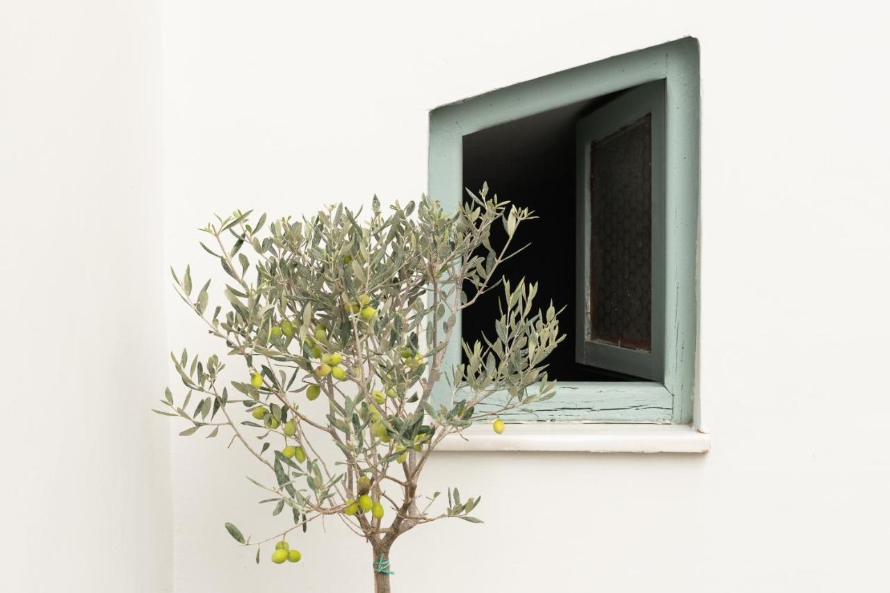 Central5 Boutique Apartments With Common Garden Next To Metro Athens Exterior photo